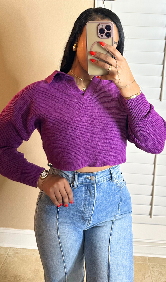 BERRY | CROPPED SWEATER