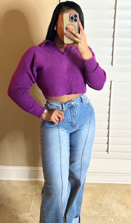 BERRY | CROPPED SWEATER